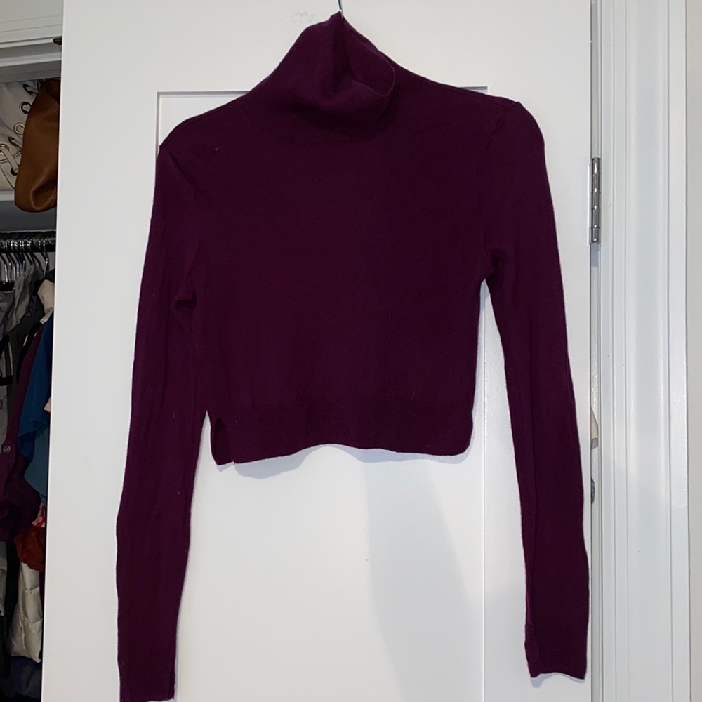 Burgundy Crop Turtleneck Sweater